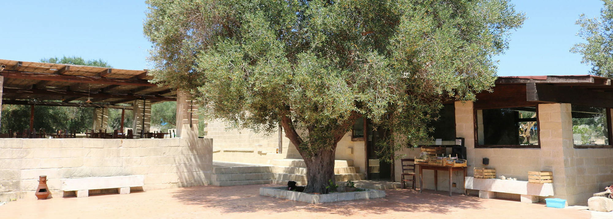 La Trottoria Agriturismo Otranto Exterior photo